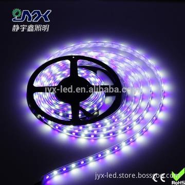 5050 rgbw High quality led rgbw strip artnet control with madrax software non-wateproof ip20 apply in club stage TV show